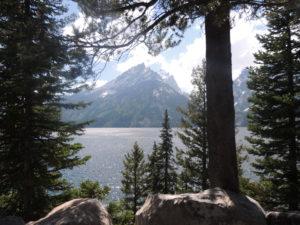 grand-teton-national-park10