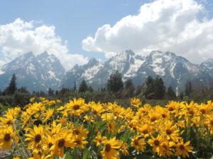 grand-teton-national-park9