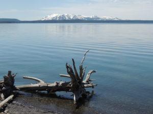 yellowstone-lake-10