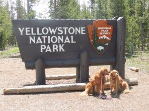 yellowstone-national-park