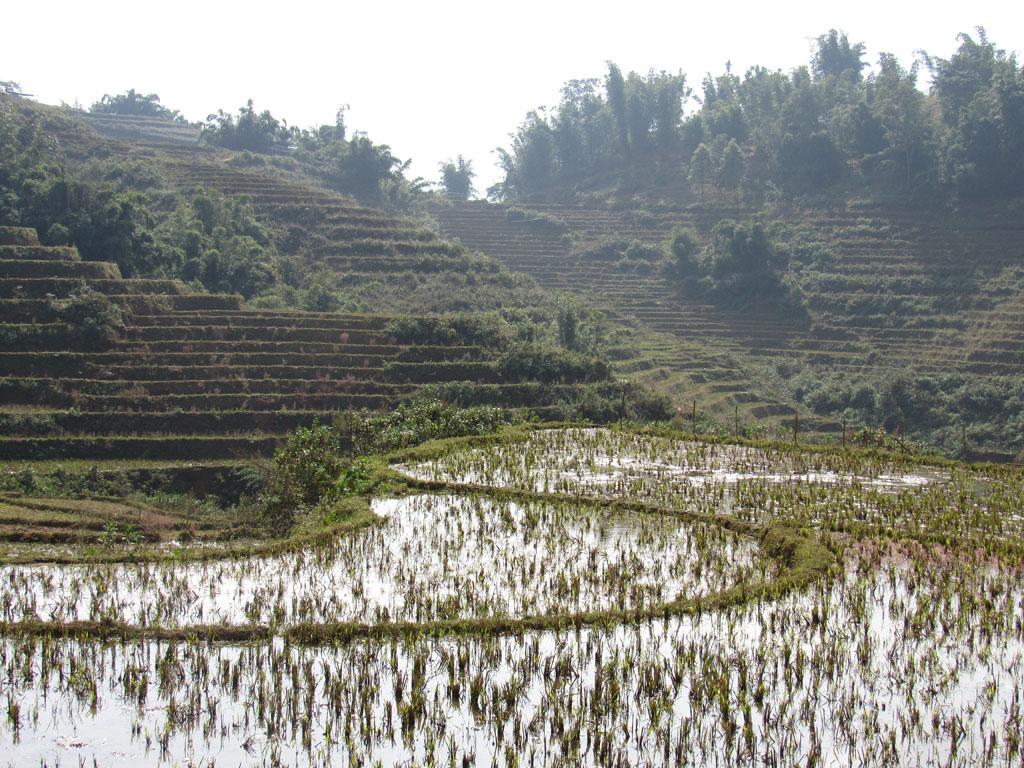 Sapa e os terraços de arroz no Vietnã